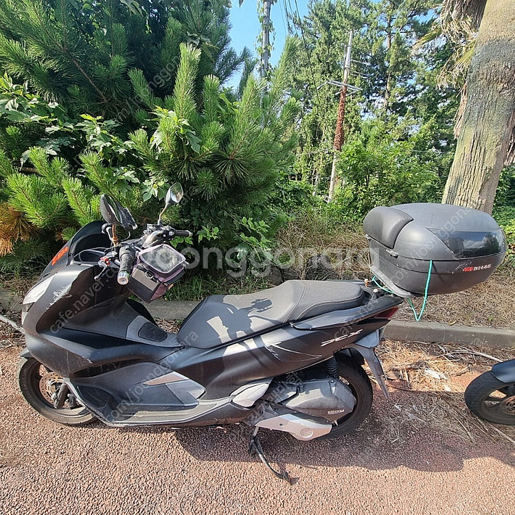 pcx 19년식 7500키로(실키로)--0